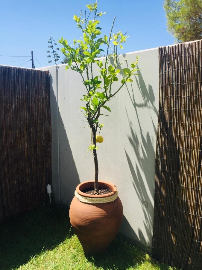 Los Tilos Alcossebre Buitenkant foto